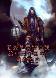 老婆拿离婚逼我给小舅子买车，我秒签字小说(完结版)-方远苏晴在线阅读