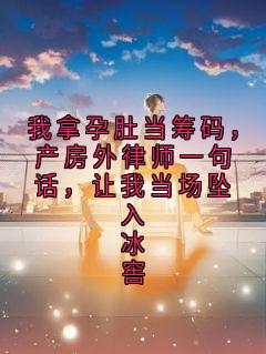 我拿孕肚当筹码，产房外律师一句话，让我当场坠入冰窖秦峥沈舟赵琳全本小说（我拿孕肚当筹码，产房外律师一句话，让我当场坠入冰窖）全章节小说目录阅读