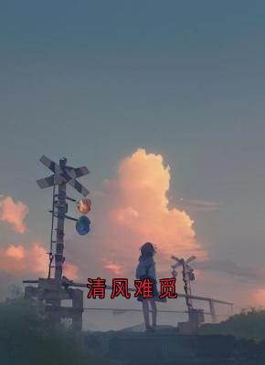 (全本)清风难觅主角沈栀陈上杰全文目录畅读
