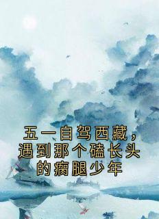 全网首发完整小说五一自驾西藏,遇到那个磕长头的瘸腿少年主角小安陈泽在线阅读