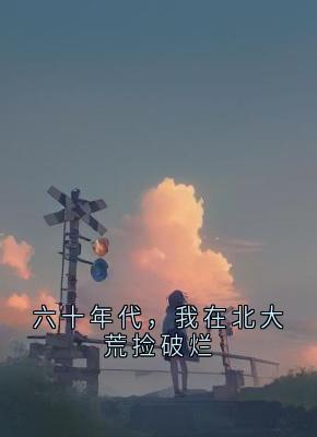 六十年代,我在北大荒捡破烂沈雀-那个大家伙 小说