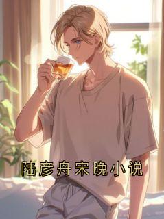 陆彦舟宋晚小说小说的书名是什么-暗夜阅读网