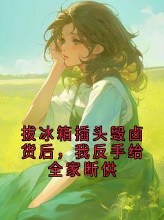 拔冰箱插头毁卤货后,我反手给全家断供小说的书名是什么