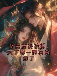 阿宁全集小说_贫民窟要被拆,天下第一刺客杀疯了完结版阅读