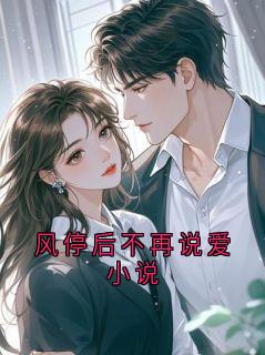 陆时安顾小说风停后不再说爱小说全文阅读