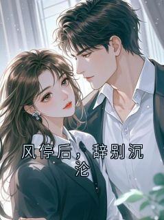知乎小说风停后,辞别沉沦主角是陆时安顾全文阅读