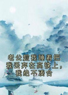 精选好书老公趁我睡着把我丢弃在高铁上,我绝不凑合无删减版全文在线