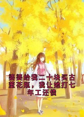 婆婆给我二十块买古董花瓶,我让她打七年工还债小说百度云完整章节列表免费阅读