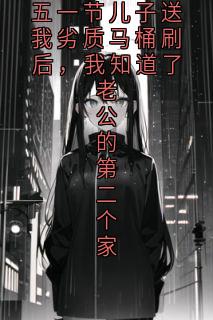 私藏读物五一节儿子送我劣质马桶刷后,我知道了老公的第二个家陆彦宁薛茵茵陆嘉言完结版免费阅读
