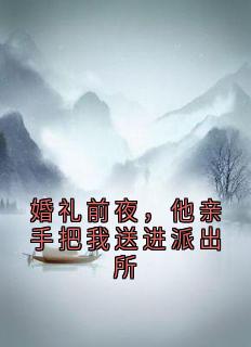 新上婚礼前夜,他亲手把我送进派出所爱睡觉的茗茗Zzz 小说免费阅读
