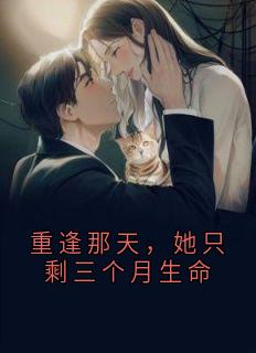 重逢那天，她只剩三个月生命苏念顾言深大结局小说全章节阅读