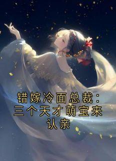 错嫁冷面总裁:三个天才萌宝来认亲小说全集(顾晚厉北枭陆伟)无弹窗广告阅读