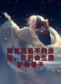 老书虫推荐雨夜相逢不问来路，往后余生我护你母子 在线阅读