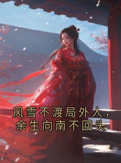 风雪不渡局外人，余生向南不回头小说(完整版)-陆言珩沈星晚章节阅读