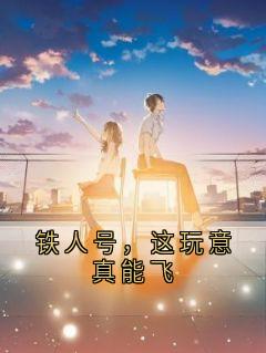 铁人号,这玩意真能飞(迪卡洛博士洛琳)全文完整版阅读