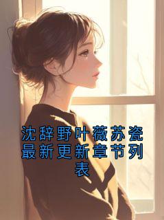 正版小说沈辞野叶薇苏瓷最新更新章节列表沈辞野南乔在线免费阅读