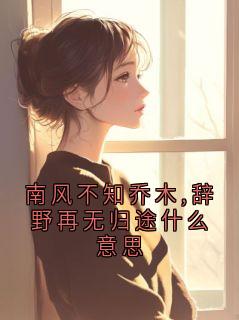南风不知乔木,辞野再无归途什么意思小说沈辞野南乔最新章节阅读-暗夜阅读网