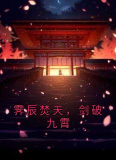 霁辰焚天，剑破九霄快手热推洛霁辰免费阅读