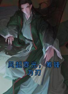 风起霓光，筹锋为刃小说(完本)-林筹锋苏沐晴无错版阅读