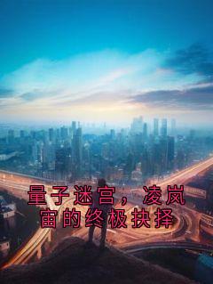 量子迷宫,凌岚宙的终极抉择在哪免费看,凌岚宙量子迷小说章节目录阅读