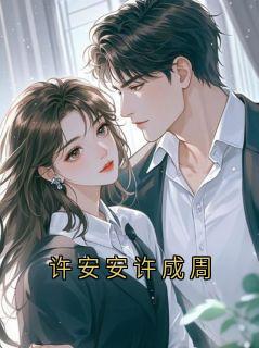 抖音小说许安安许安安无弹窗试读