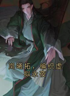 (全集-免费)岚曦拓,编织虚拟永夜完本小说_岚曦拓雪琳全文免费阅读