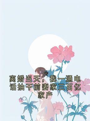 离婚当天,我一通电话抽干前妻家三百亿家产小说免费版阅读抖音热文