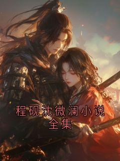 精选好书程砚沈微澜小说全集无删减版全文在线