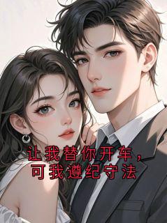 让我替你开车,可我遵纪守法小说(完本)-周晏陆蔓无错版阅读