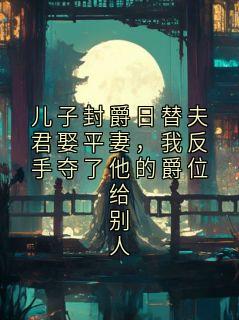 儿子封爵日替夫君娶平妻，我反手夺了他的爵位给别人by金桔汽水小说完结版在线阅读