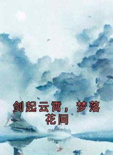 主人公沈流岚苏雪音秦无殇在线免费试读剑起云霄,梦落花间最新章节列表-暗夜阅读网