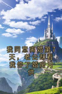 我同意离婚第7天，老公却看我停了婚房月供无弹窗在线阅读