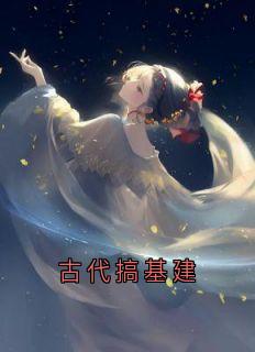古代搞基建免费阅读全文,主角苏晚小说完整版