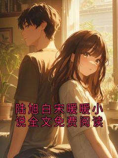 (抖音)陆旭白宋暖暖小说全文免费阅读陆旭白林小说免费全文阅读