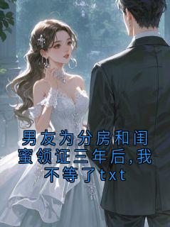 男友为分房和闺蜜领证三年后,我不等了txt小说(完结版)-陆辞淮沈念在线阅读