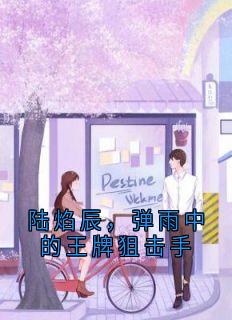 主角是陆焰辰萧子宁的小说陆焰辰,弹雨中的王牌狙击手最完整版热门连载