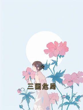 陆明孙登是哪部小说的主角 三国危局全文无弹窗