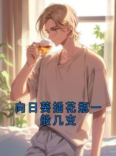 向日葵插花瓶一般几支在线全文阅读-主人公秦漫星小说