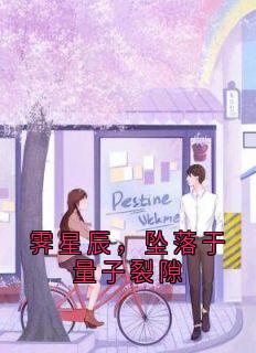 霁星辰,坠落于量子裂隙免费阅读全文,主角霁星辰小说完整版