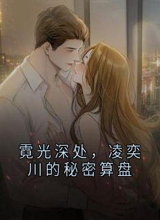 无广告小说霓光深处，凌奕川的秘密算盘-凌奕川苏清雅在线阅读