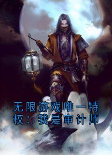 主人公审计小说无限游戏唯一特权:我是审计师在线全文阅读