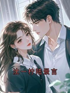 沈一柠陆景言沈一柠大结局在线阅读