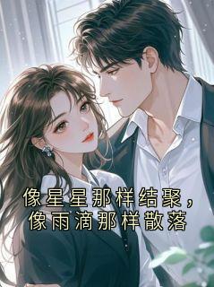 值得熬夜看完的像星星那样结聚,像雨滴那样散落小说阅读