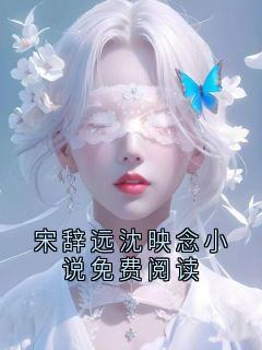 宋辞远沈映念小说结局