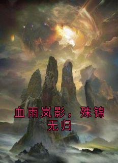 全网首发完整小说血雨岚影,殊锦无归主角岚殊锦洛青霜在线阅读