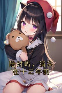 陆时屿，消失在十三年前未删减阅读