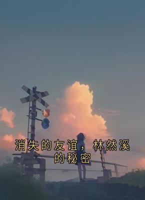 无弹窗小说消失的友谊，林然溪的秘密 作者鬼药山的猪猪超人 