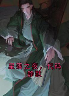 （全本）星落之夜，代码静默主角辰珩全文目录畅读