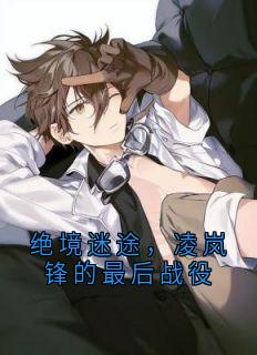 熬夜也要看完的绝境迷途,凌岚锋的最后战役小说推荐
