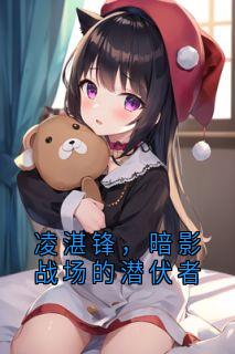 完整版凌湛锋，暗影战场的潜伏者凌湛锋沈寒烁小说免费在线阅读